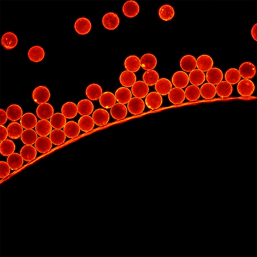 3um Carboxyl Red-Fluo Microspheres CFR3UM-10