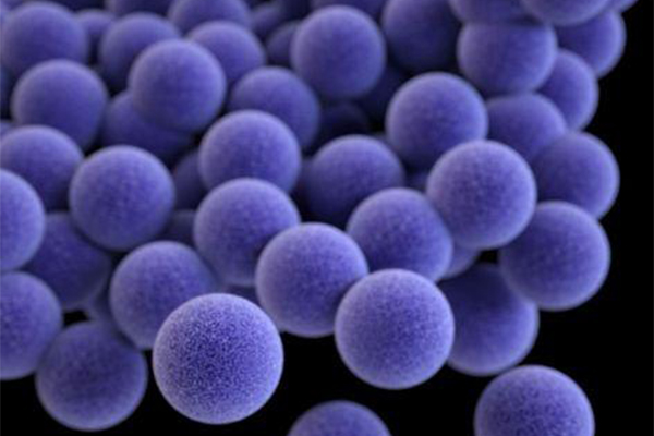 Fluorescent-Microspheres