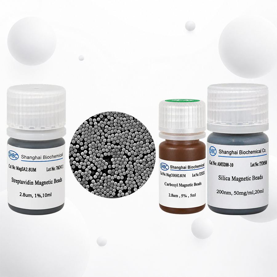 How to Choose Silica Magnetic Beads for DNA and RNA Extraction