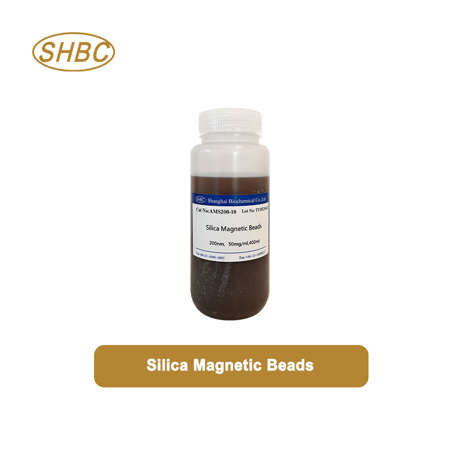 AMS200-10 200nm Silica Magnetic Beads for DNA RNA Extraction and Biomolecule Purification