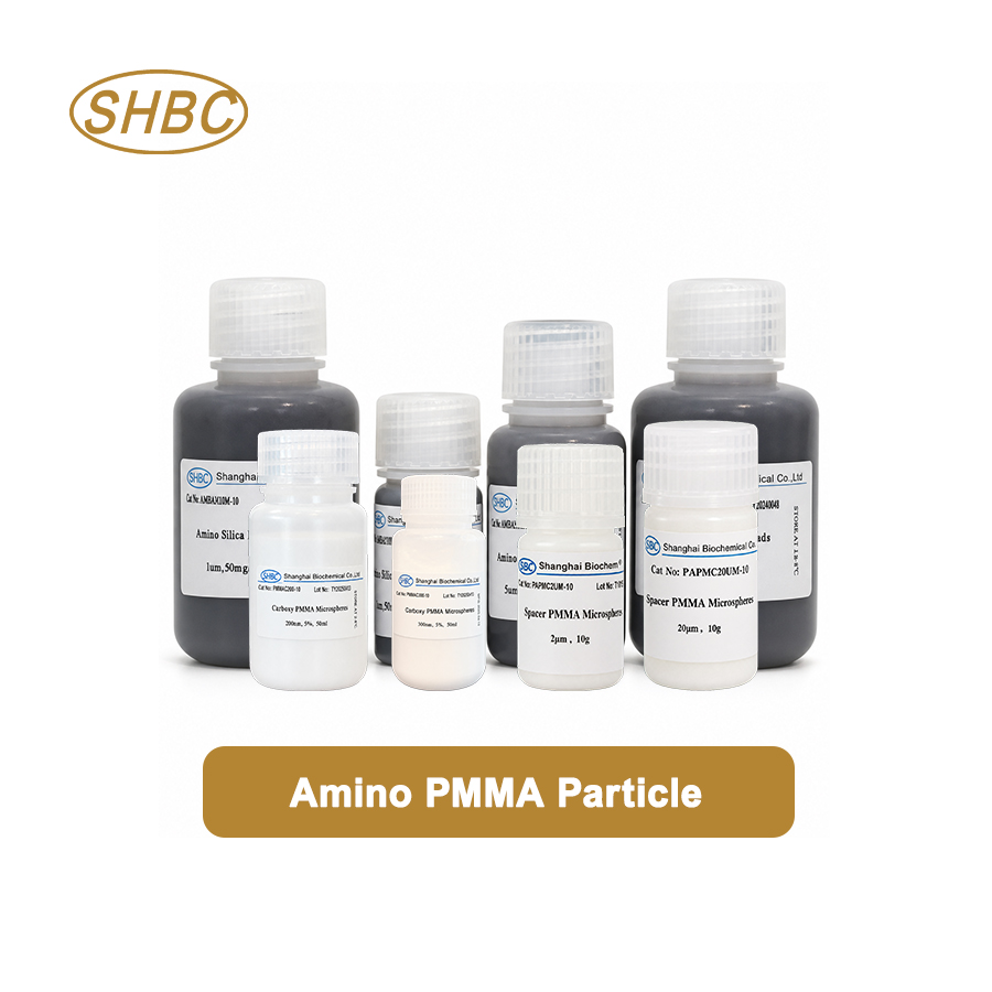 PMN20UM 20 μm Amino PMMA Particles 10%