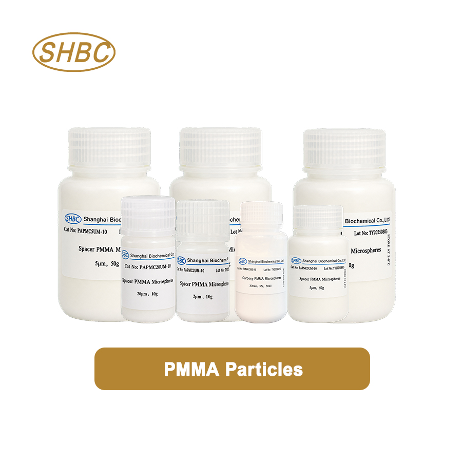 Top 10 PMMA Microsphere Manufacturers Serving the UAE in 2026