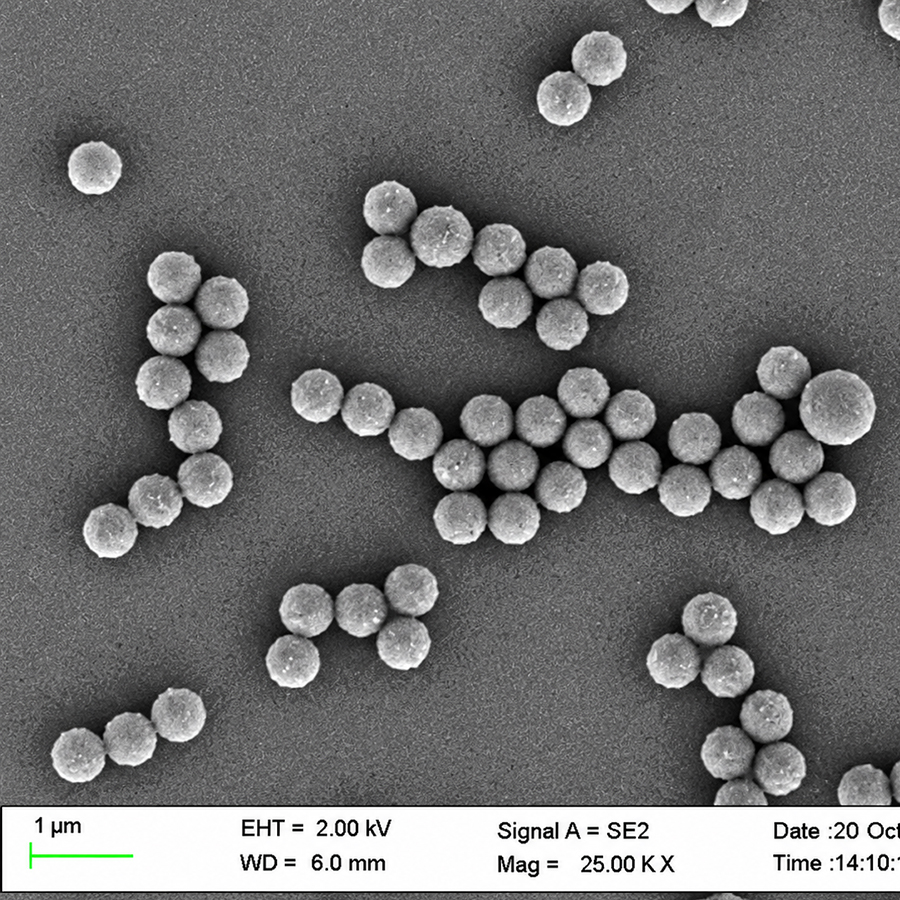 110 nm Carboxyl Polystyrene Microspheres, 10% Solids – CP110-10
