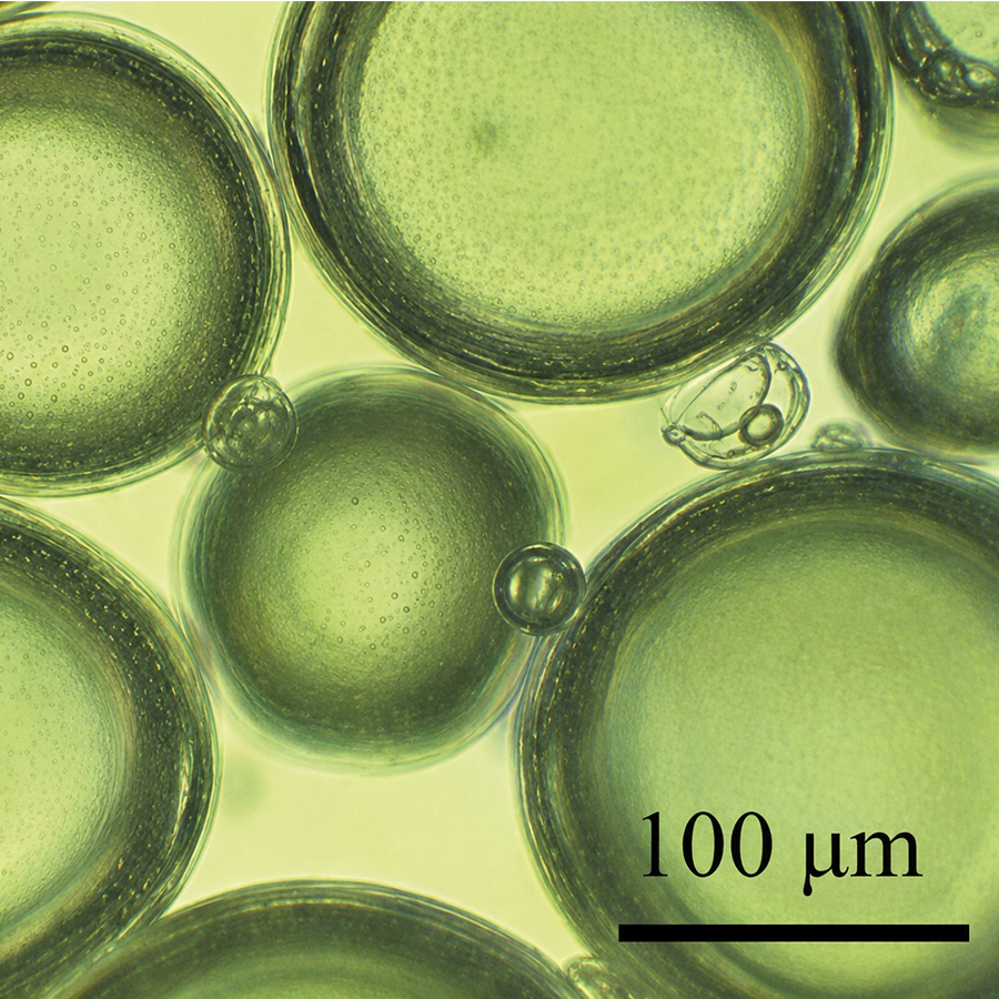 25um Expandable Polymer Microspheres SY818 97%