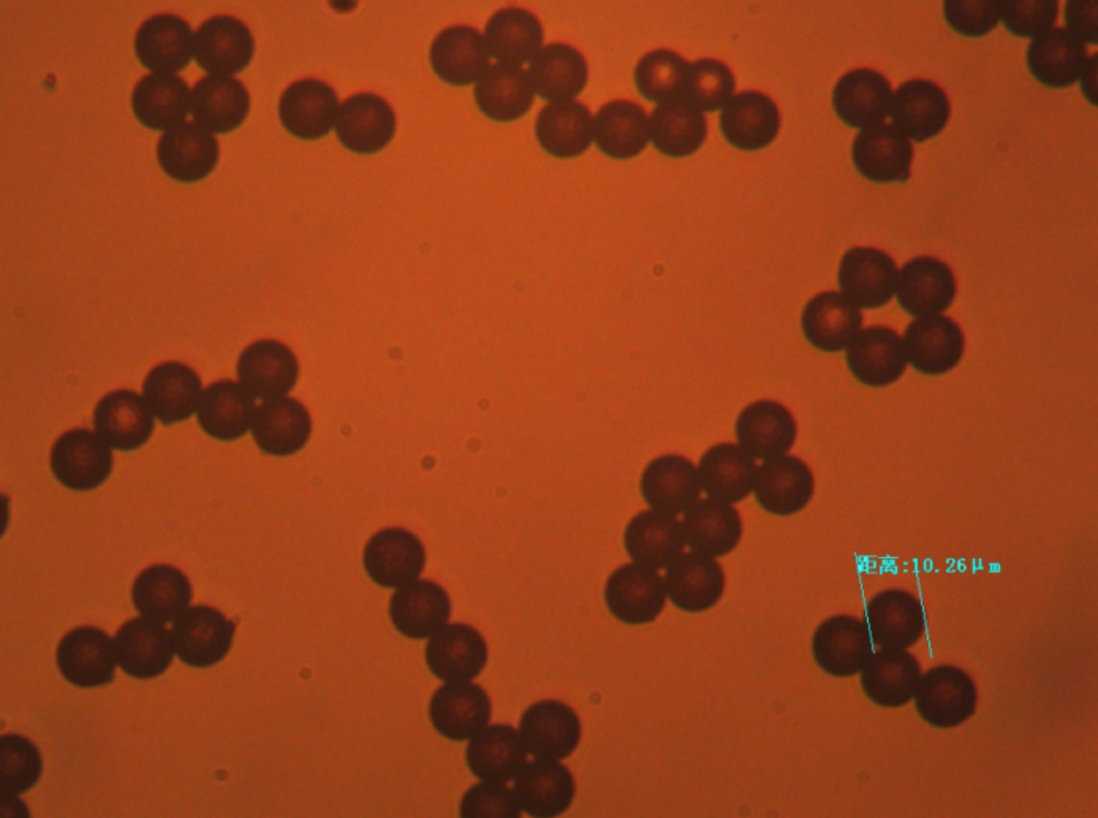 PMMA10UM-10 10μm PMMA Microspheres for Optical Materials and Polymer Applications
