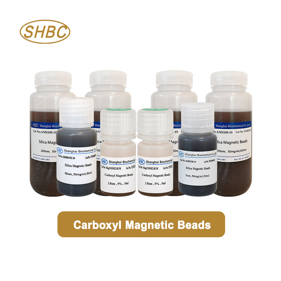 Top 10 IVD Magnetic Bead Manufacturers Serving Taiwan 2026