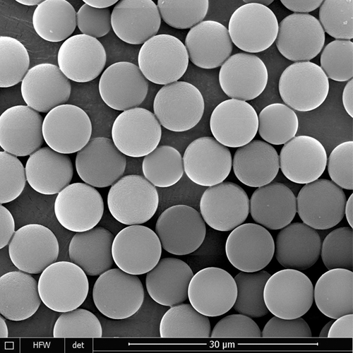 500nm Carboxyl Magnetic Beads 5% Solid