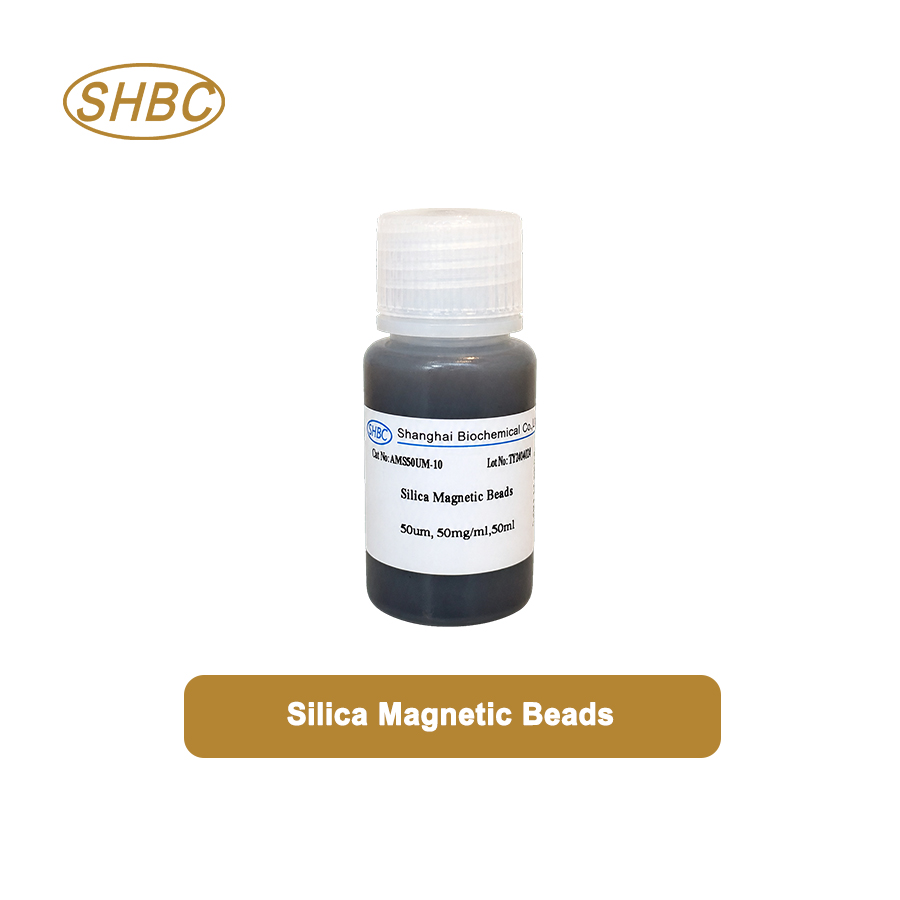 AMS50UM-10 50μm Magnetic Silica Microspheres 5% Suspension