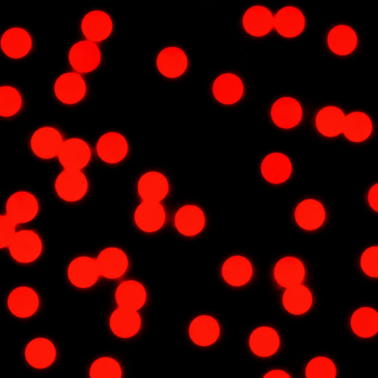 12μm Red Carboxyl Microspheres
