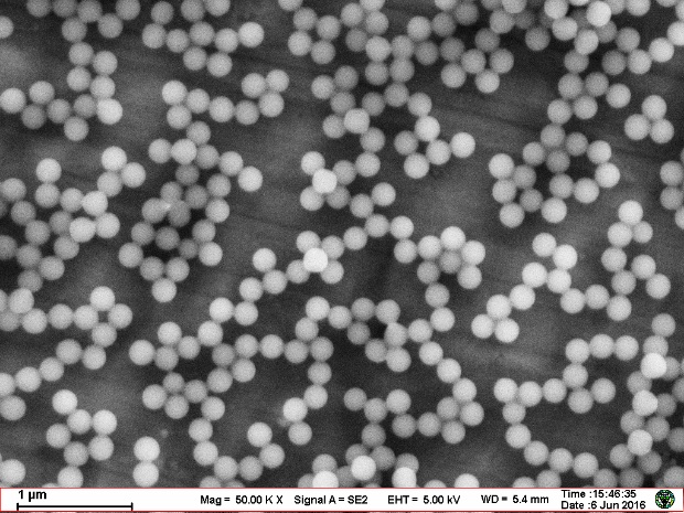 CP70NM 70nm Carboxyl Polystyrene Microspheres 10% Solids for Biomolecule Coupling