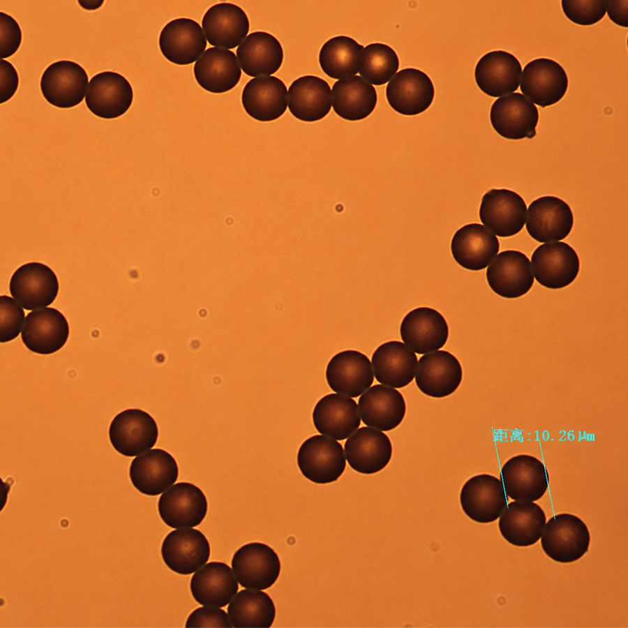 PMMAN300UM-10 300μm Amino PMMA Microspheres for Biomolecule Immobilization