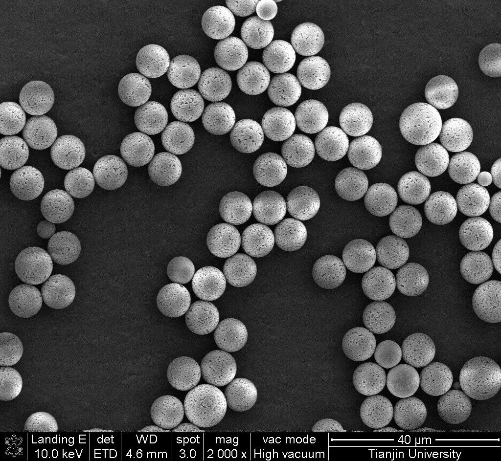 10um Porous Crosslinked PMMA Microspheres PM10UM-300A