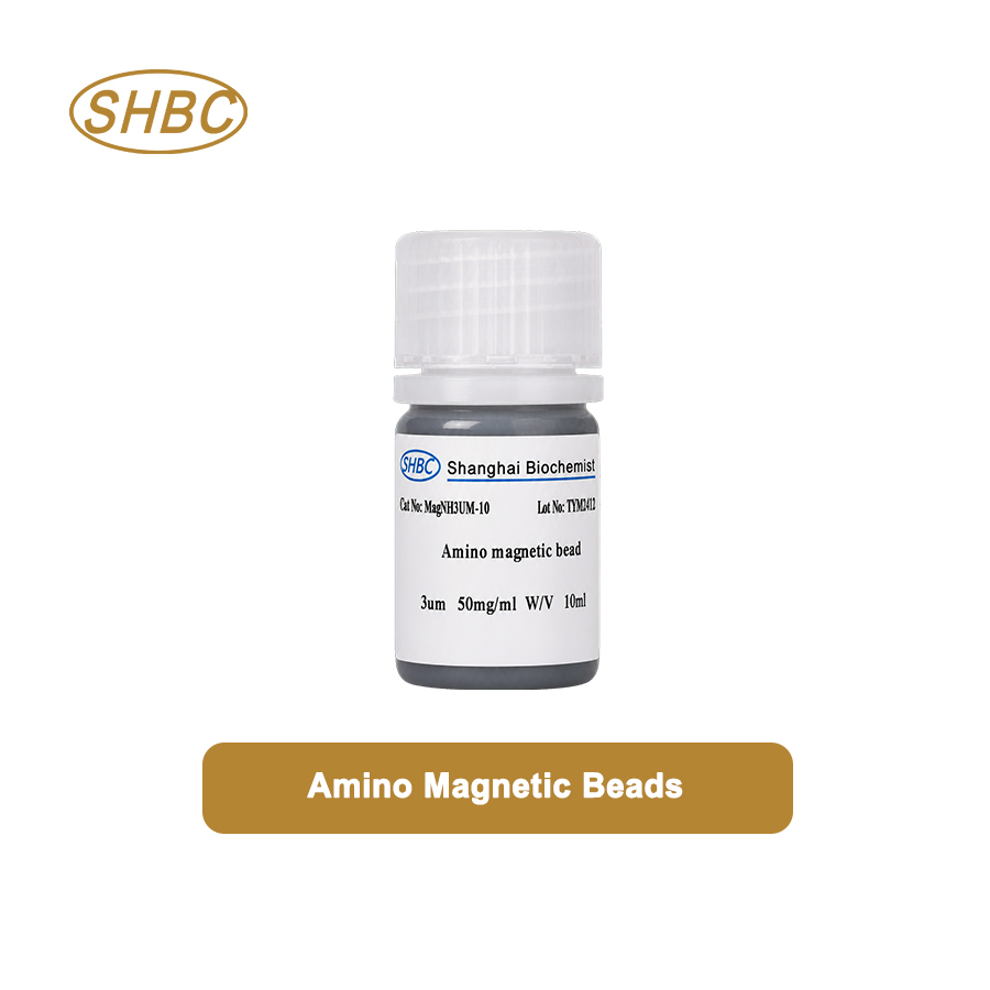 30um Amino Magnetic Beads MNH30UM-10 5%