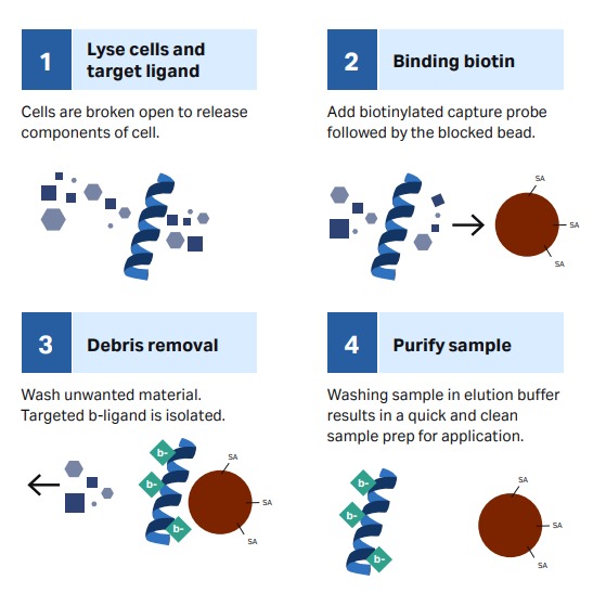 Figure-4-Rapid-and-convenient-pr.jpg