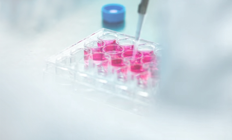 Immunoassay