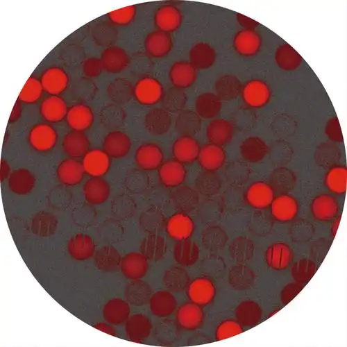 500nm Flow Red-Fluo Microspheres RCY500NM-630 0.5%