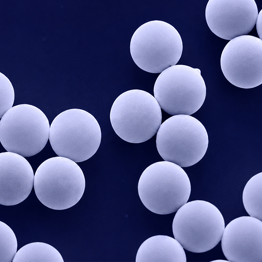 100nm Carboxyl Magnetic Beads 