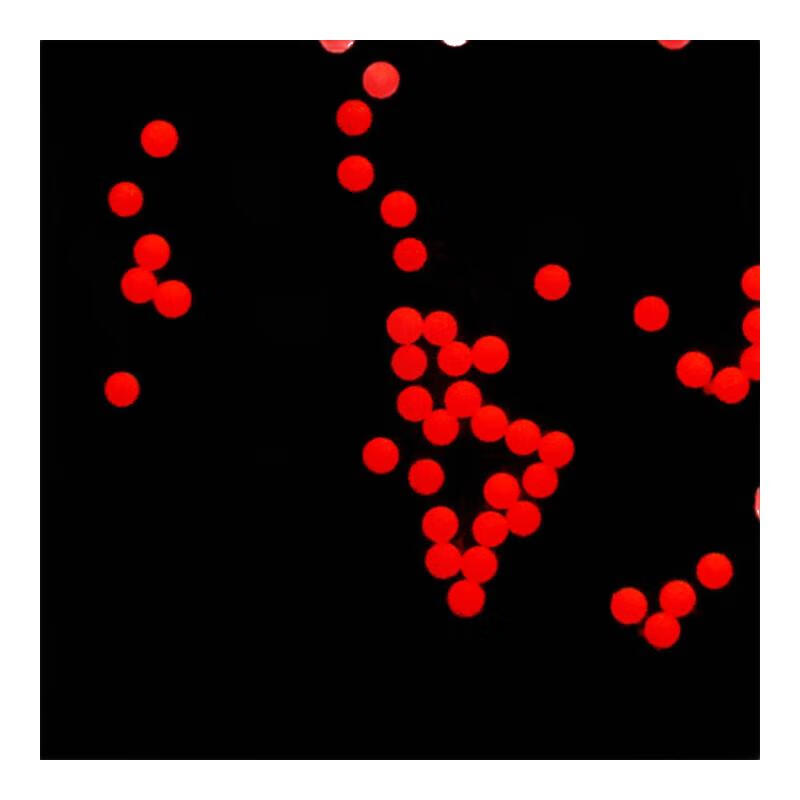 CFR100-10 100nm Red Fluorescent Microspheres for Bioassay and Biomedical Applications