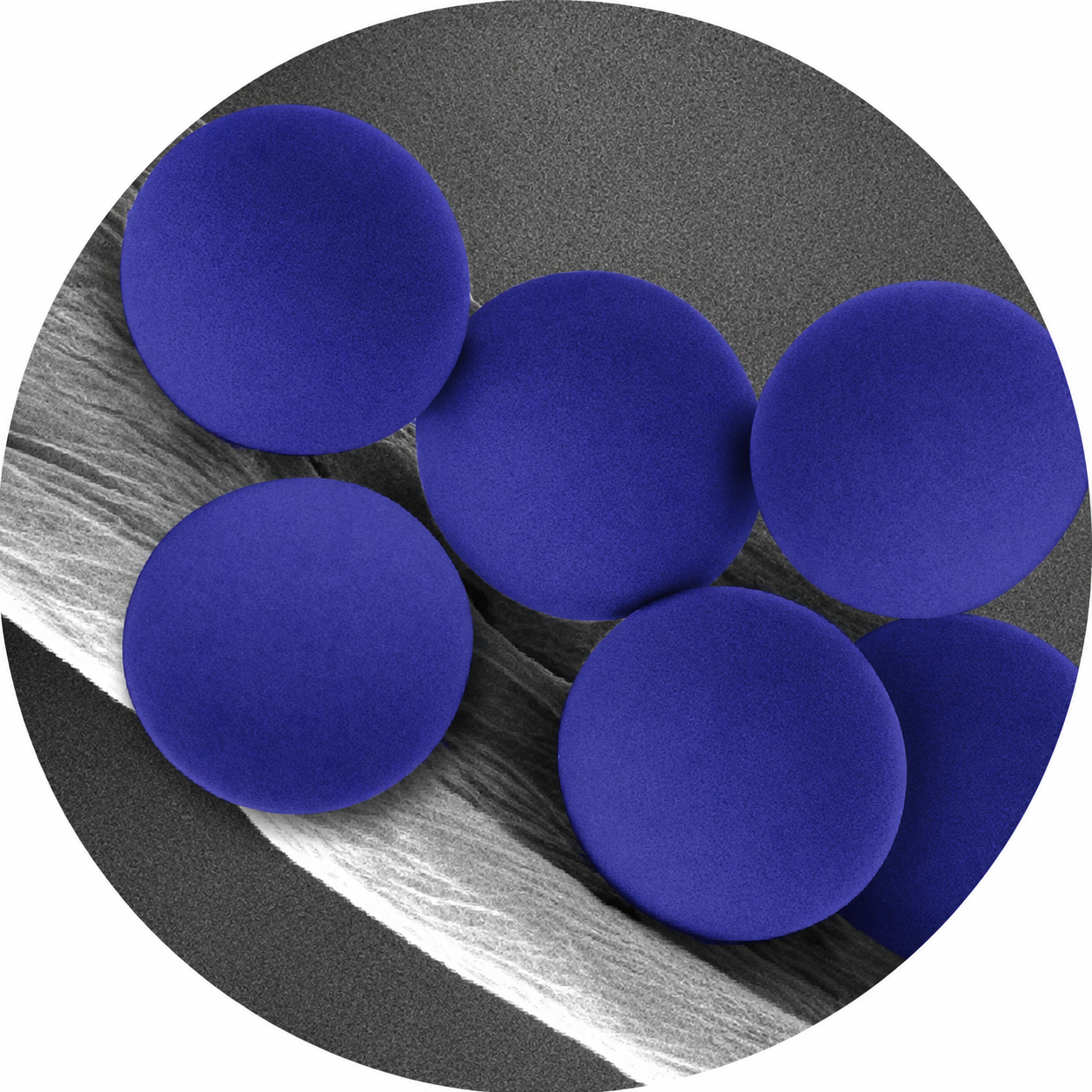 100nm Blue Carboxyl Microspheres CAB100-10 4%