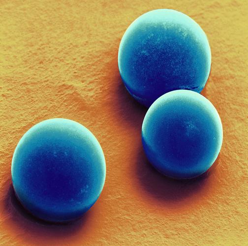 CFB100-10 100nm Blue Fluorescent Microspheres for Bioassay and Life Science Research