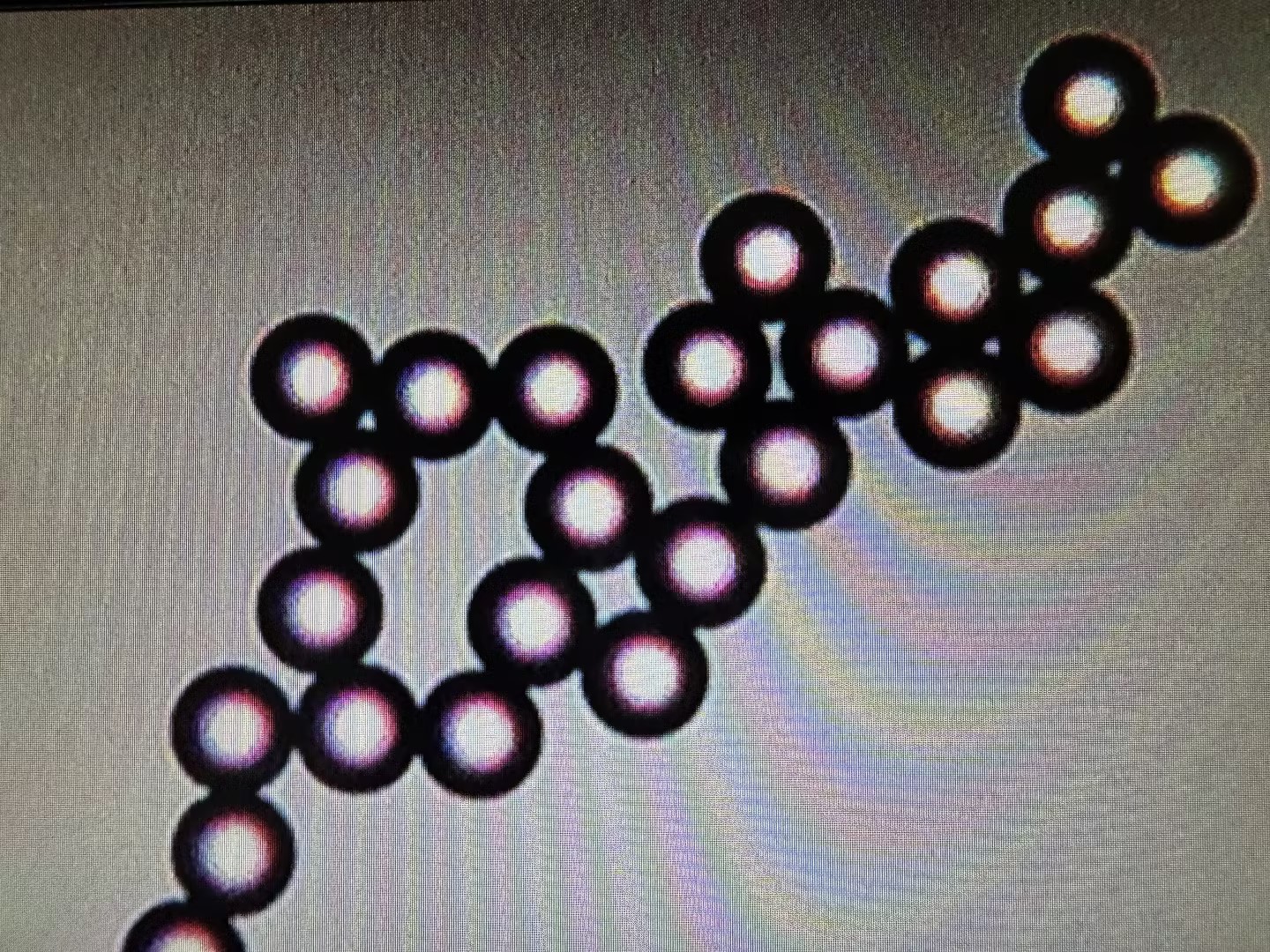 300nm Sclausura PS/DVB microspheres PS/DVB 300nm 5%