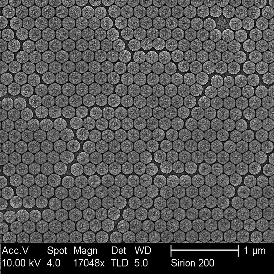 60um Standard Polystyrene Microspheres SPS60UM-10 5%