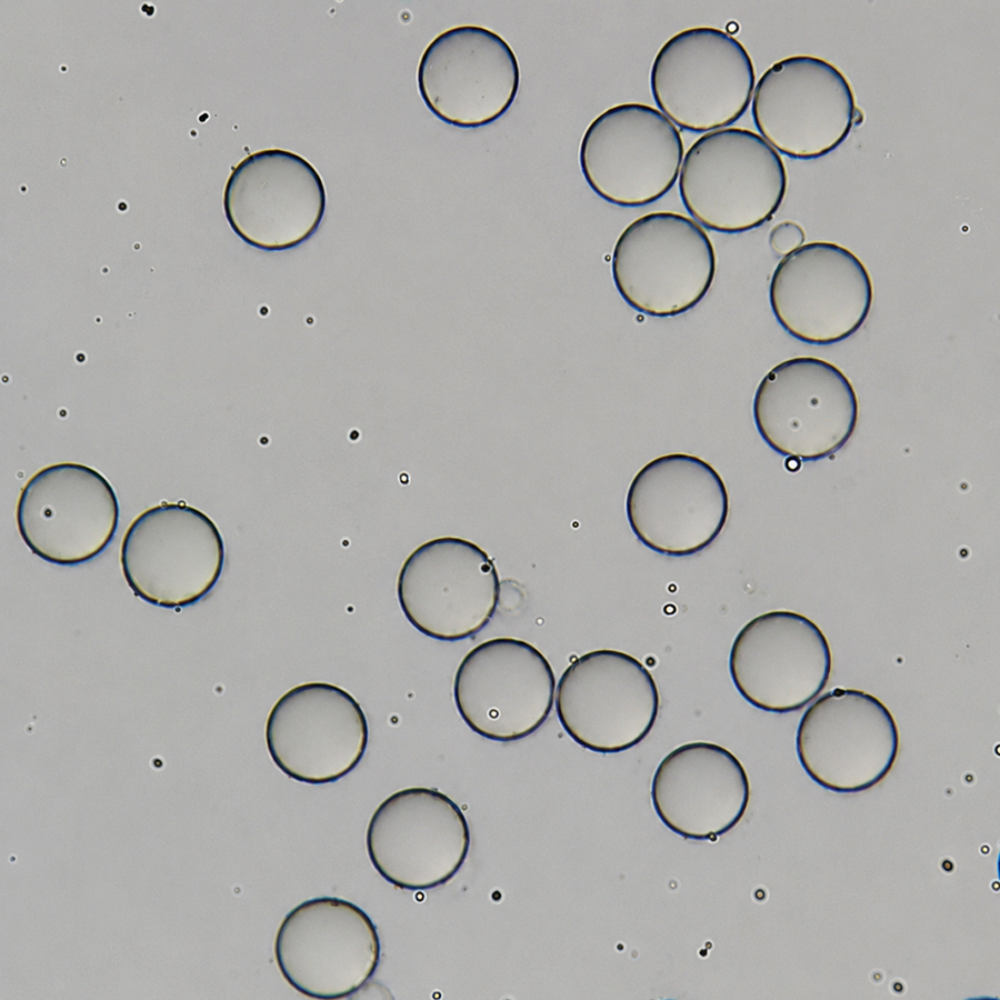 40nm Standard Polystyrene Microspheres SPS40-10 5%