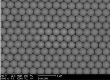 CP7UM-10 7μm Carboxyl Polystyrene Microspheres 10% Solids for Biomolecule Coupling